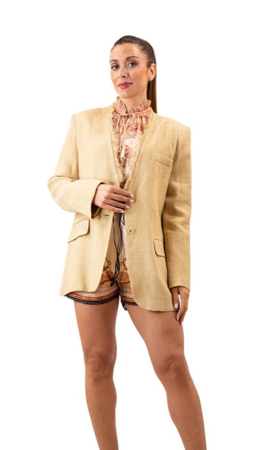 Blazer Brany